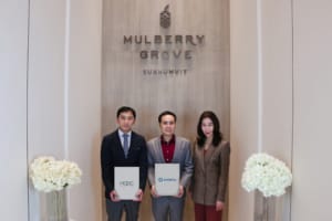 โครงการ Mulberry Grove Sukhumvit